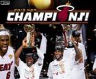 2013 NBA Şampiyonu Miami Heat